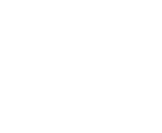 Evolution games at King Domace Casino