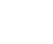 NetEnt games at King Domace Casino